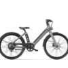 Električno kolo Bird Bike V-FRAME Siva