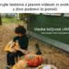 IMOU POE VRTLJIVA NADZORNA KAMERA - Image 15